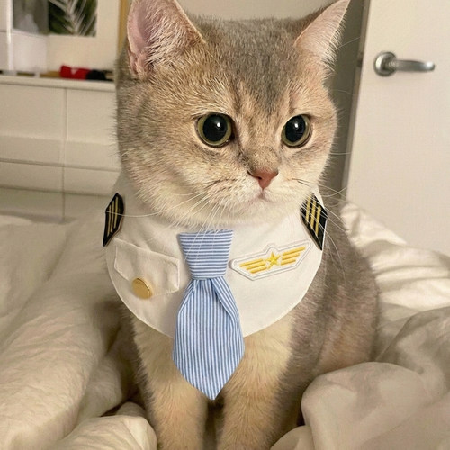 猫咪围巾狗围巾飞行员宠物围脖狗狗机长围巾宠物三角巾口水巾装饰
