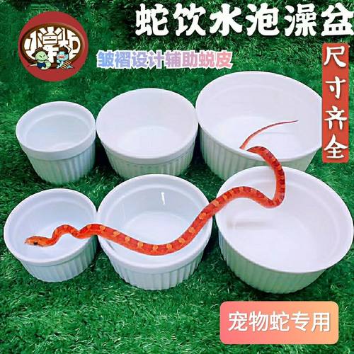 小掌柜爬宠蛇盆玩具蛇宠物蛇水盆