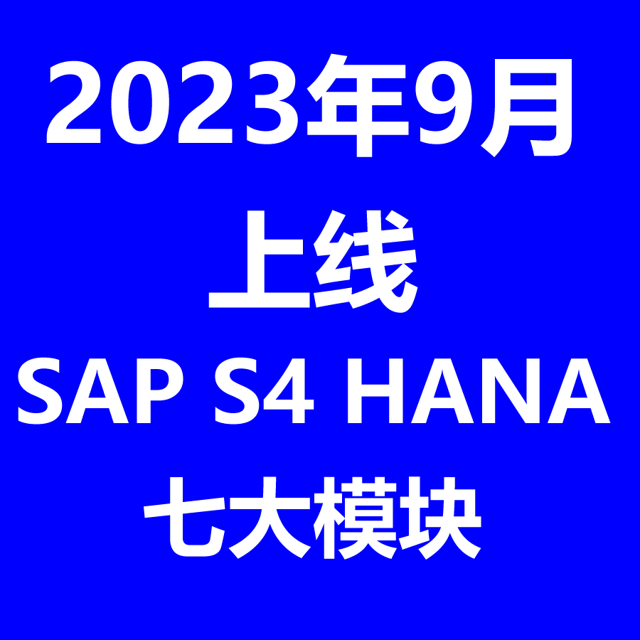 2023年9月上线S4HANA项目实施资料七个模块两家公司内容齐全