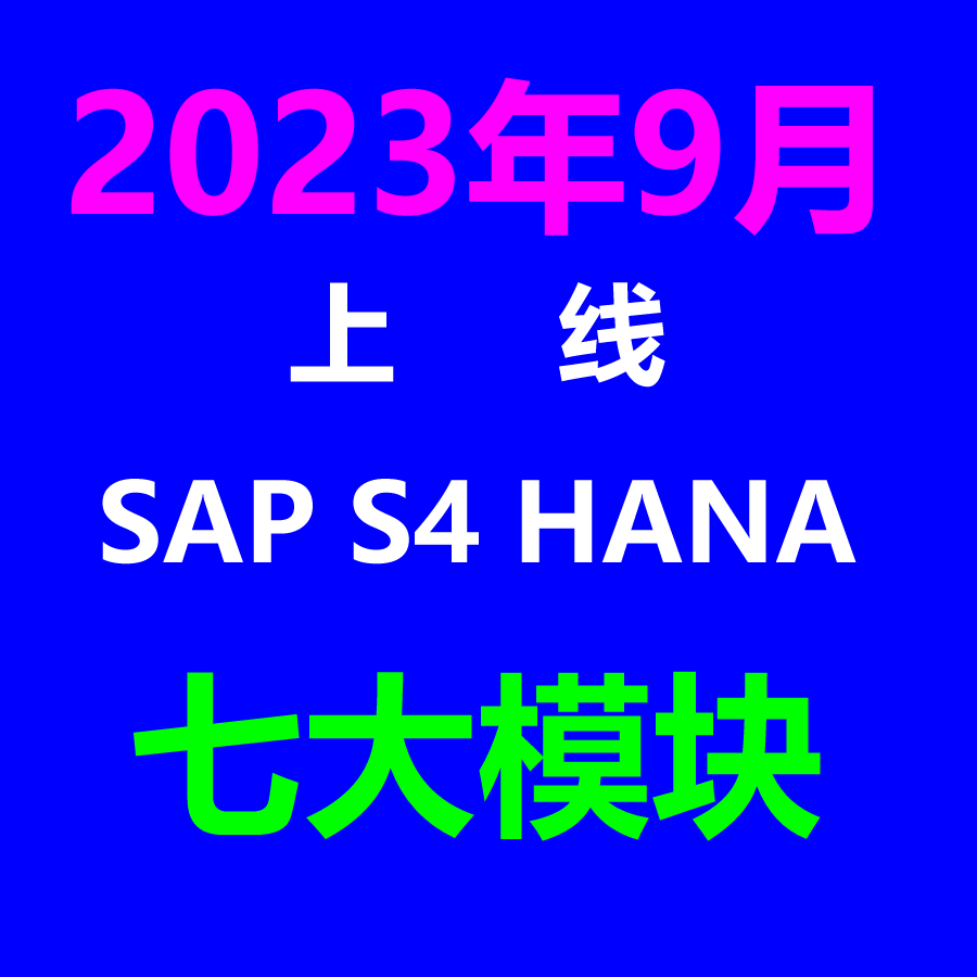 2023年9月上线S4HANA完整项目实施资料七个模块两家公司内容齐全