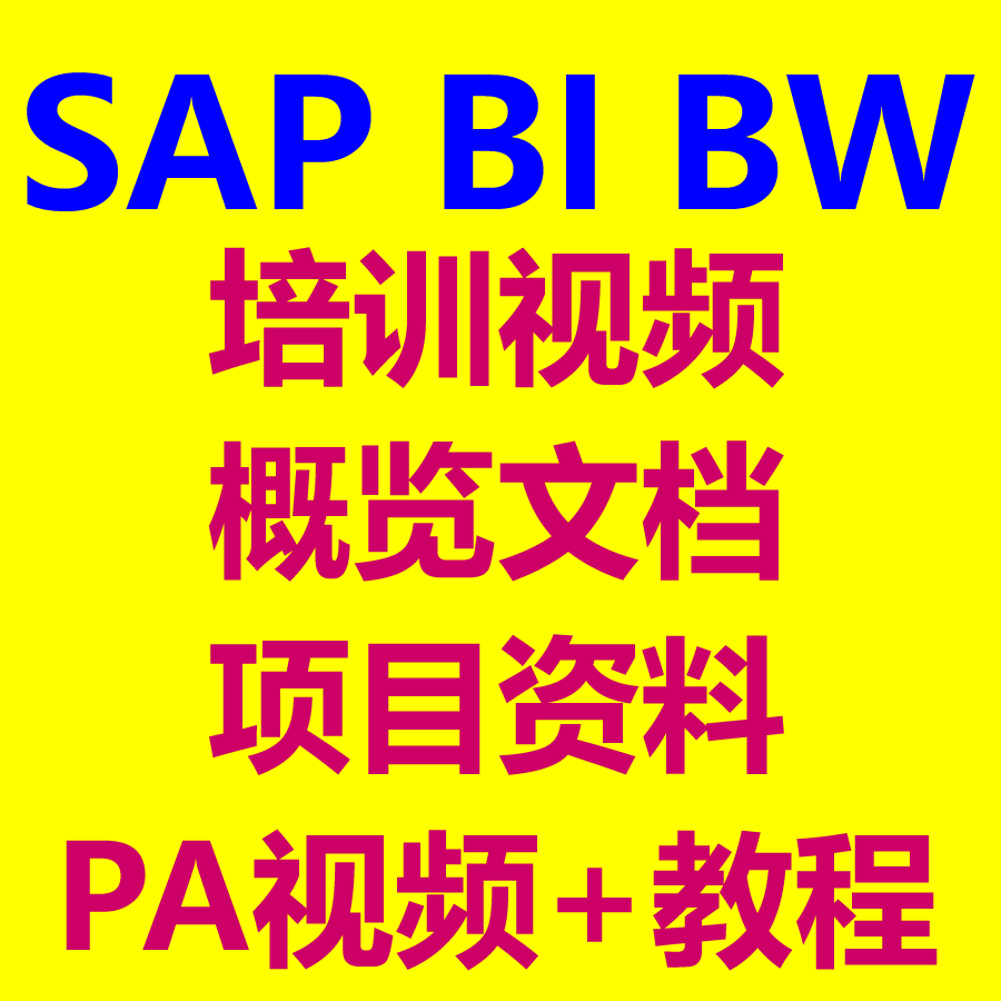 SAP BW BI培训视频项目资料概览文档PA视频 PA PDF