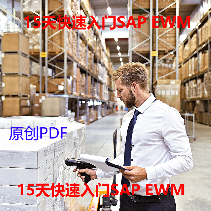 15天快速入门SAP EWM 2024出品 原创 单个PDF 图文并茂