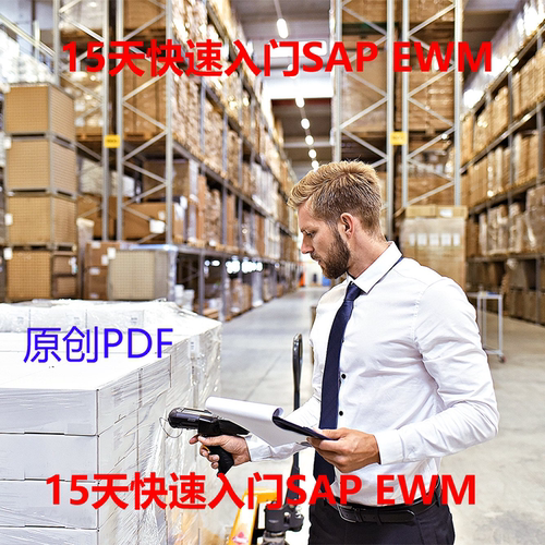 15天快速入门SAP EWM 2024出品 原创 单个PDF 图文并茂