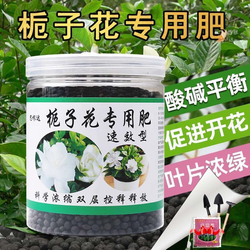 栀子花肥料专用肥料栀子花营养液
