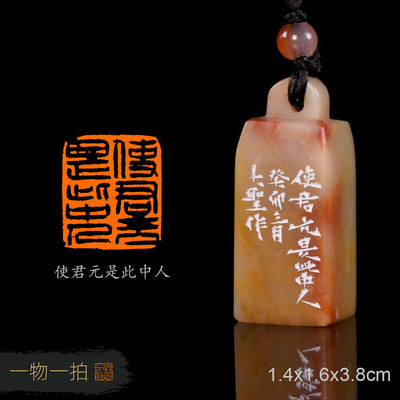 使君元是此中人 宋明 手工篆刻写意成品章书法书画收藏礼品闲章