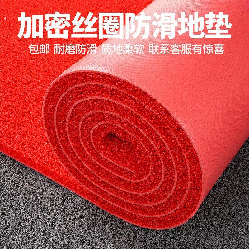 可裁剪门口丝圈地垫加厚塑料脚垫防水地毯入户门垫垫子防滑垫