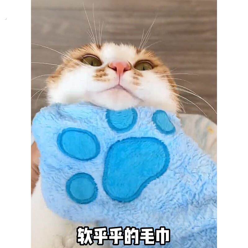 宠物专用洗澡手套狗狗洗澡速干超吸水清洁毛巾猫咪洗澡用洗澡巾