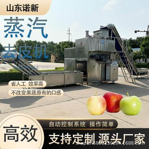 诺新猕猴桃奇异果批量去皮设备胡萝卜蒸汽去皮机红枣脱皮机