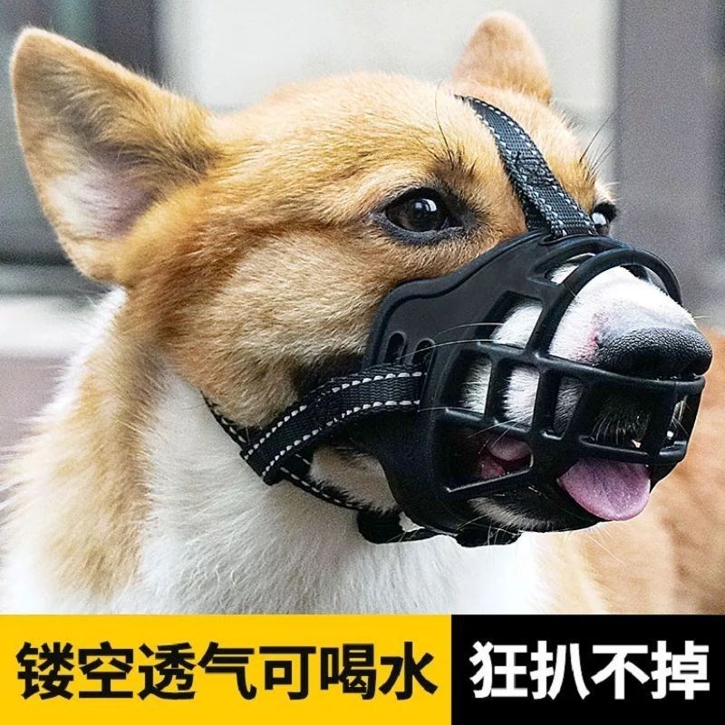 狗狗防舔神器狗笼嘴套马犬嘴套柴犬嘴套柯基狗狗用品大全可喝水