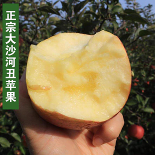 百事激浪水果苹果徐州丰县大沙河苹果带箱红富士冰糖心脆甜丑萍果