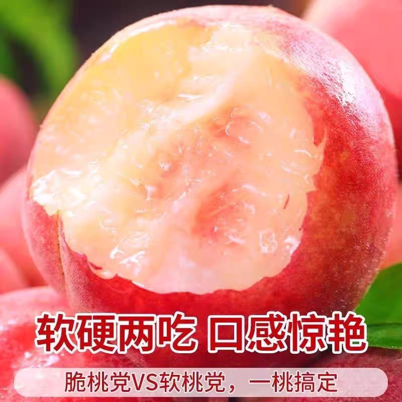百事激浪 正宗水密桃脆甜新鲜水果当季现摘露天孕妇桃子果园直发