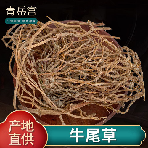 牛尾草金丝草猫毛草中药材