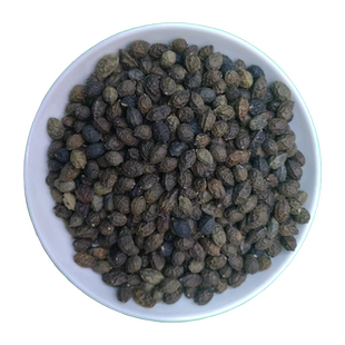 鸦胆子中药鸭蛋子500g正品鸦粉老鸦胆苦参油胆子仁雅旦籽膏