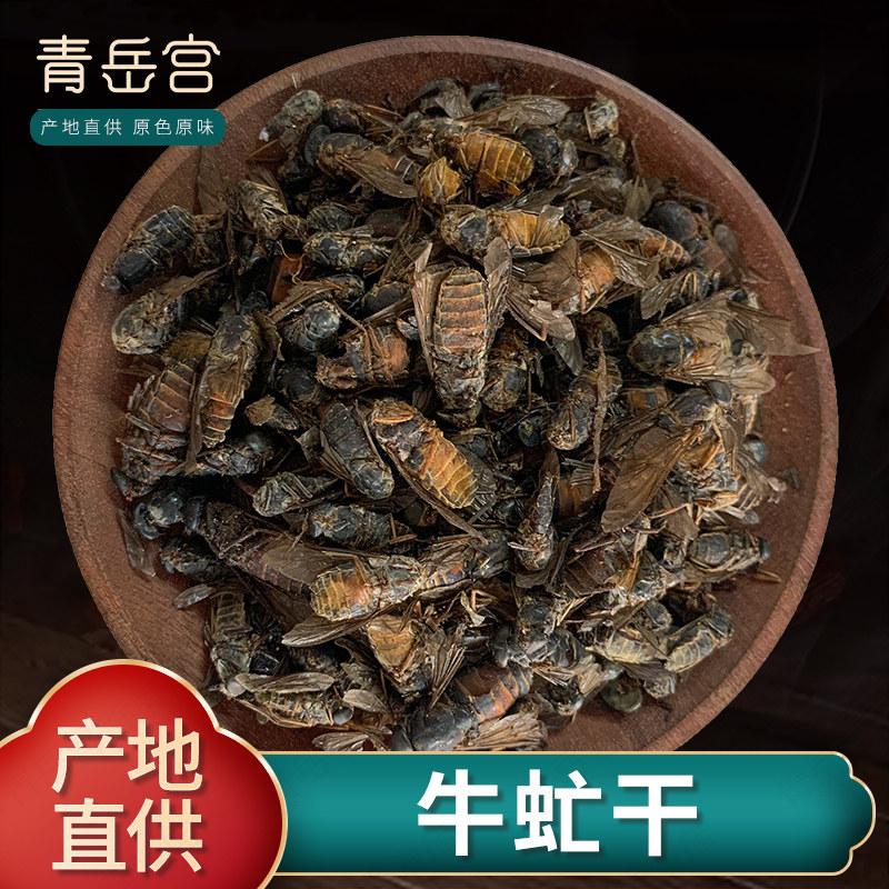 虻虫50克干货野生牤虫 牛蚊子牛蝇子牛苍蝇牛虻虫