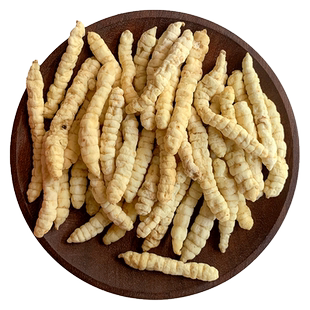 虫草参草石蚕500克干货正品土冬虫草地蚕