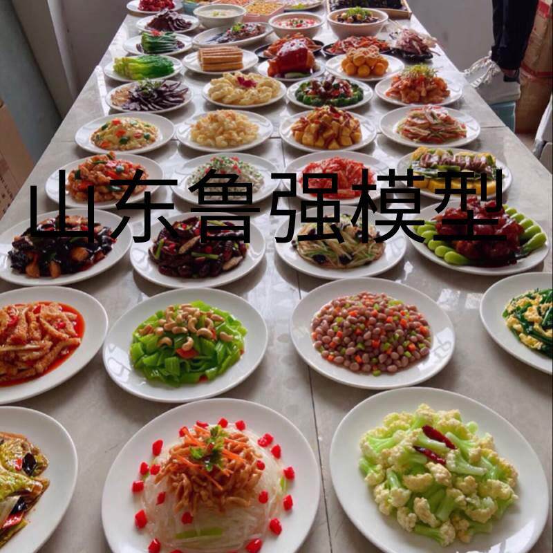仿真菜道具直播道具假菜