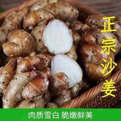 广东新鲜沙姜正宗茂名化州南盛沙姜姜苗广西沙姜白切鸡蘸料