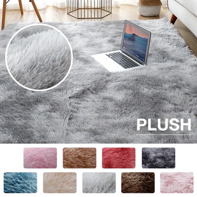 Plush Carpet for Living Room Fluffy Rug Thick Bed Room Carp
