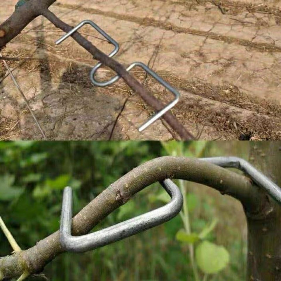 月季压枝神器果树拉枝定型器树枝定型器压枝钩别枝器sm型开角器