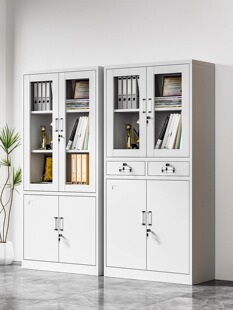 新疆包邮钢制办公室文件柜铁皮柜子档案柜资料柜财务凭证带锁储物