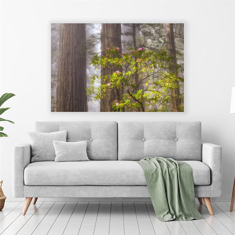 森林树木风景装饰画 现代艺术花朵植物框挂画背景墙帆布画芯图片
