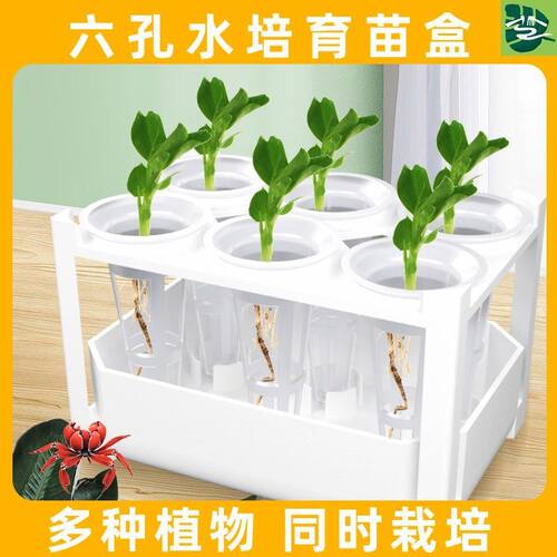 植物水培架智能阳台塑料透明种植箱无土栽培6孔水培育苗盒耐用