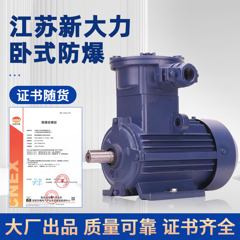 防爆电机江苏新大力国标铜芯