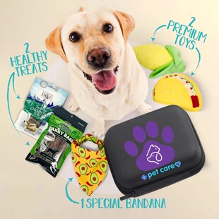 宠物全能急救包小狗狗中毒急救包解毒药受伤药应急全套包