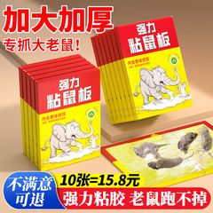粘鼠板老鼠粘强力胶粘大老鼠克星捕黏鼠神器贴超强家用扑捉器正品