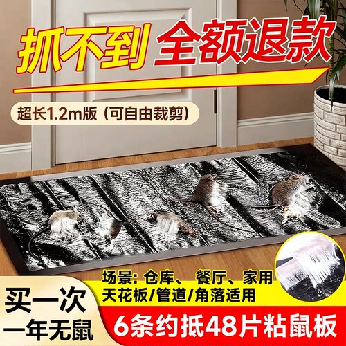 粘鼠板强力胶抓粘大老鼠贴粘药灭抓鼠神器克星家用一窝端捕鼠厨房