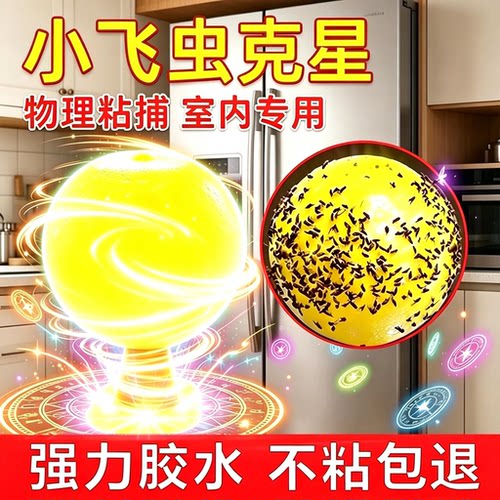 果蝇诱捕器小飞虫灭杀神器室内去除飞虫克星厨房蠓虫粘虫球诱苍蝇