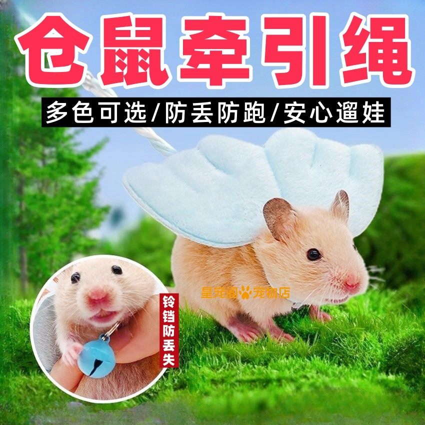 仓鼠绳子牵引绳松鼠刺猬荷兰猪溜鼠兔子小宠金丝熊豚鼠项圈外出绳,宠物/宠物食品及用品,玩具/造景装饰,淘宝优惠券,粉丝福利购,淘宝优惠卷