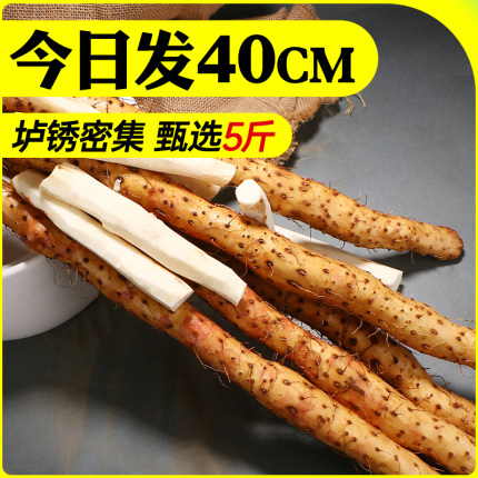 河南垆土铁棍山药新鲜5斤官方旗舰店正宗紫怀淮山铁杆焦作温县