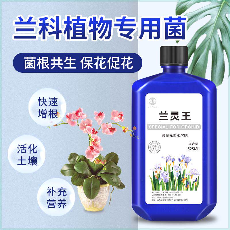 JUNDE/君德正品兰灵王兰花专用营养液君子兰蝴蝶兰石斛促花促生根怎么看?