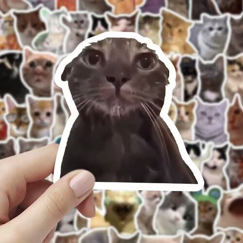 meme猫咪搞笑表情包DIY手账贴纸