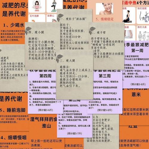 中医健康养生减肥贴纸学生手帐