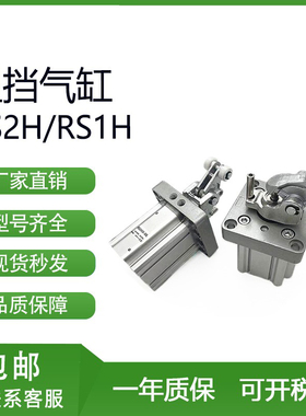 SMC型重载型阻挡气缸RS2H80/RS1H80RSA-30-40DL DM BL BM TL TM-D