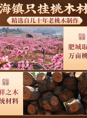 桃木山海镇图挂件的客厅室内室外大门入户门八寸三海镇摆件