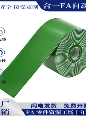 EMF01/EMF02/EMF03/EMF04/EMF05/EMF06-W50/80/100平皮带