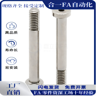 轴承止动销BGPL BGPML BGPSL BGSP BGSPM BGSPS 螺栓带肩型