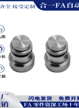 LLTS1.4 1.8 3.5 5直线导轨定位销偏心销ICE11 12-T1.4 1.8 3.5 5