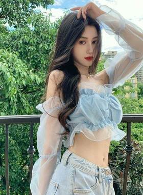 短款泡泡袖法式小众衬衫秋季修身一字领长袖衬衣网纱套头上衣女装