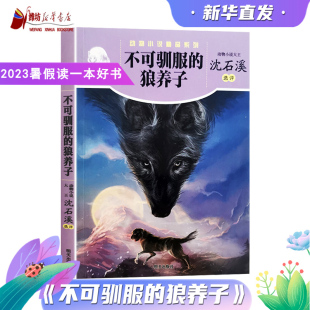 不可驯服的狼养子草原之王丝绸之路中国家风听星星的耳朵在唱歌 沈石溪动物小说精品系列 2023年山东省暑假读一本好书小学456年级