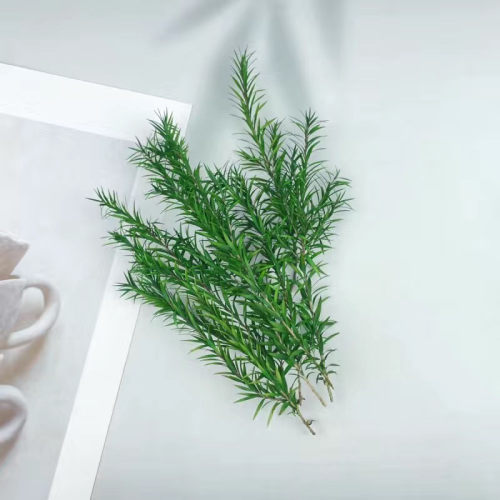 永生花千层金干花配草香薰蜡烛圣诞花环藤圈点缀材料Diy居家装饰