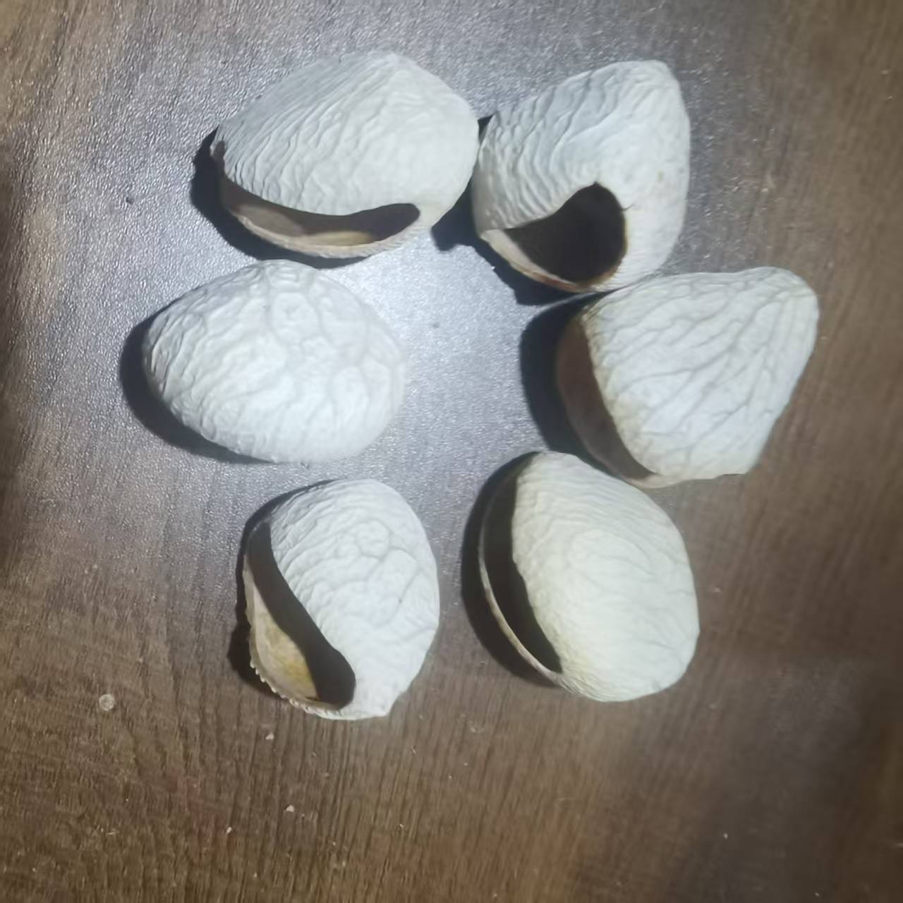 印尼磨口黑果白色黑果手摇铃材料diy手工干果壳干净打孔清脆响亮