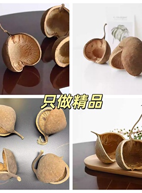 天然植物开口笑干燥花果壳干花原生缸装饰材料桌面摆件南美缸造景