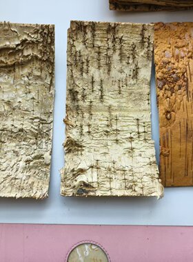 天然风干白桦树皮手工艺品DIY材料绘画装饰管道装修拍摄道具贴墙