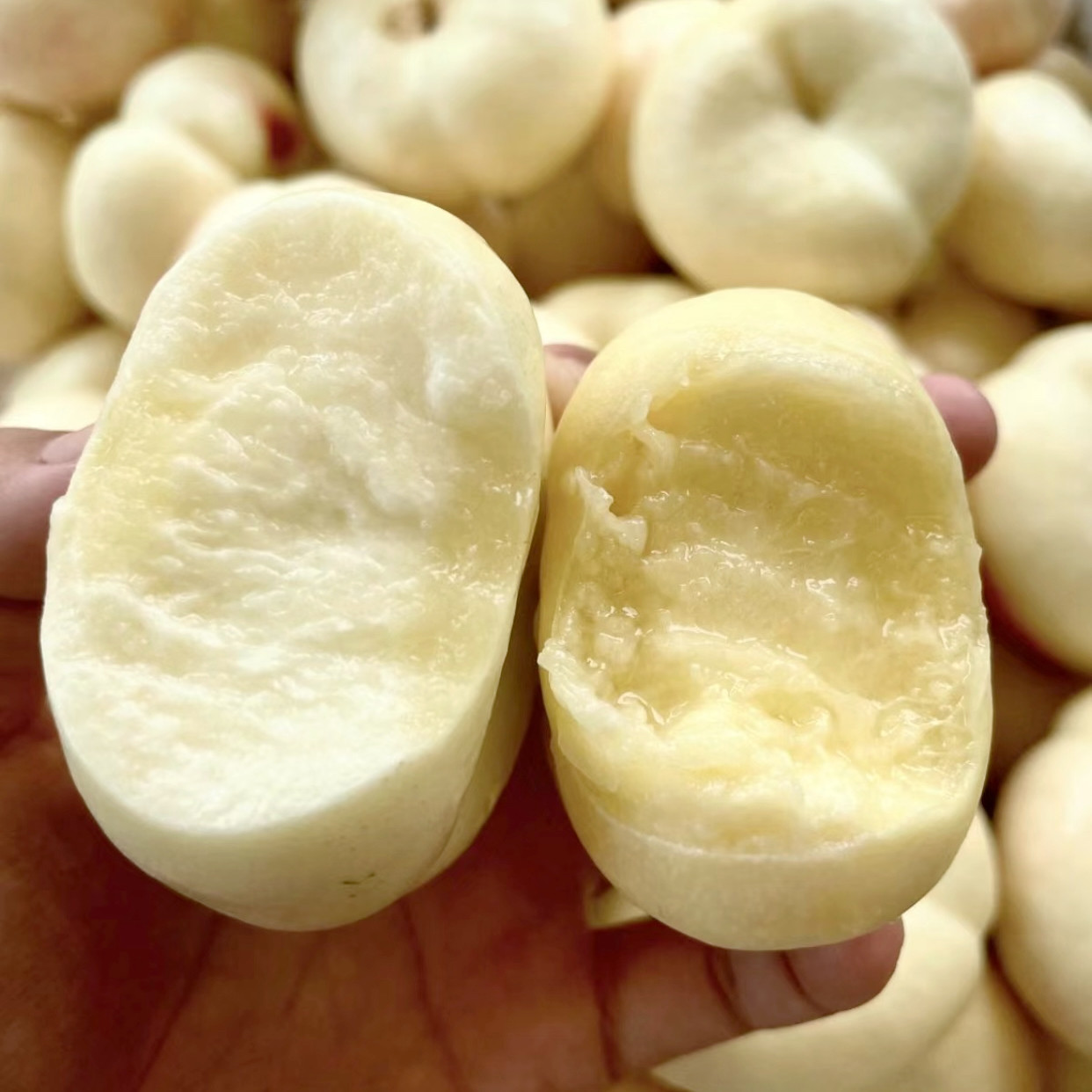 【明年6月底上架】新鲜水果当季山东蒙阴蜜桃白蟠桃应季孕妇水果