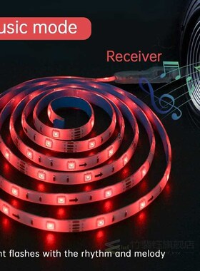 2M 60 LED Strip Light RGB 5050 SMD 2835 Waterproof Flexible