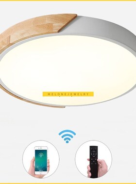Modern LED Ceiling Lights lunaria led teto Modern Colorful